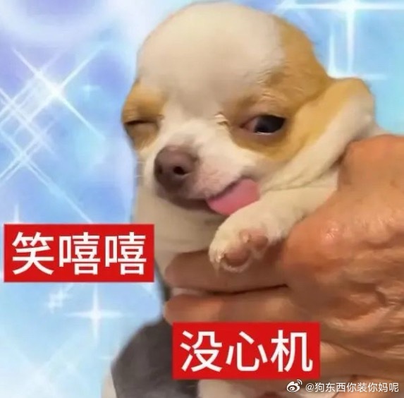 走过南，闯过北，上过学 ，插过队，去过缅北，扛过枪，喝过中国阿萨姆，会背唐诗30