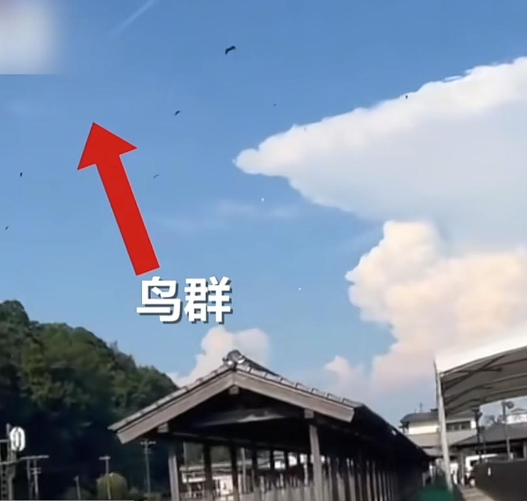 “彻底解释不清了！”日本熊本县7.1级地震，没想到，天空竟然出现巨大的白色云朵，