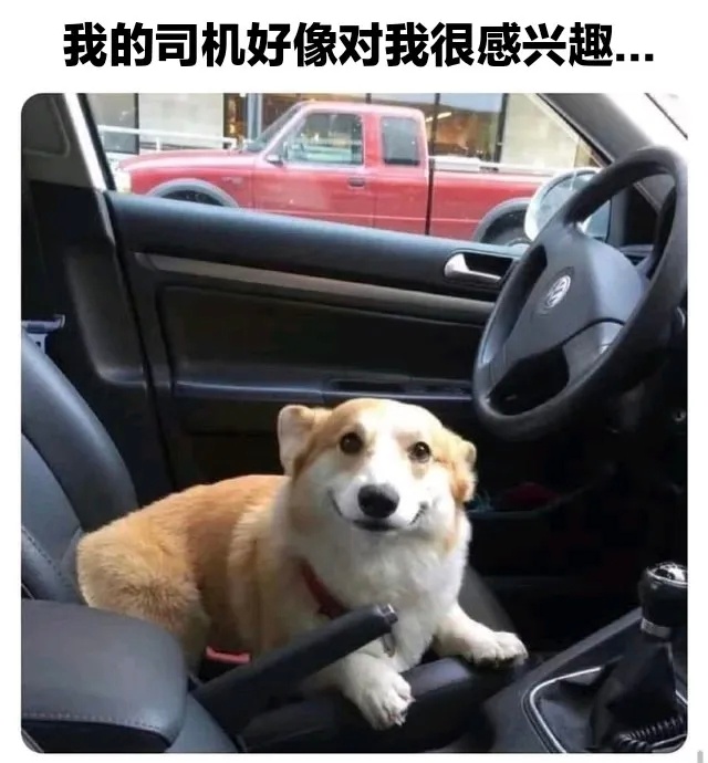 司基：你知道的，我们是好基友来的 ​​​