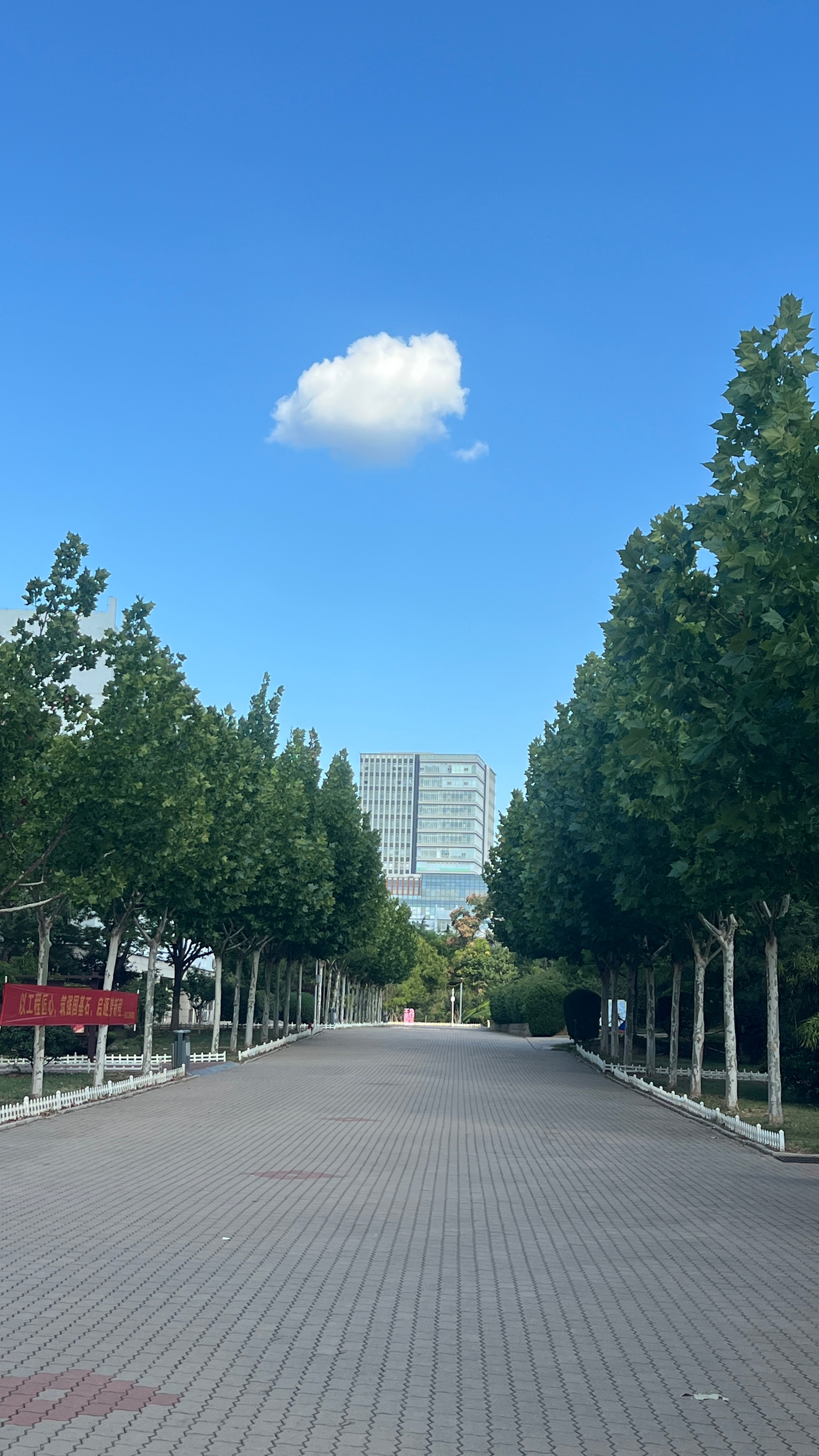 图一的云好像图二小狗的背影 不过是跑起来的 ​​​