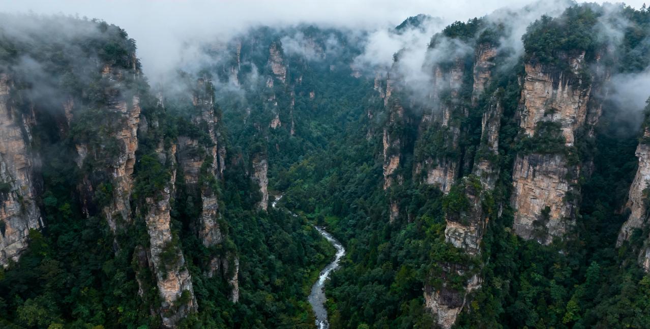 荒野求生选手 “冷美人” 
          因营养不良退赛住院

     