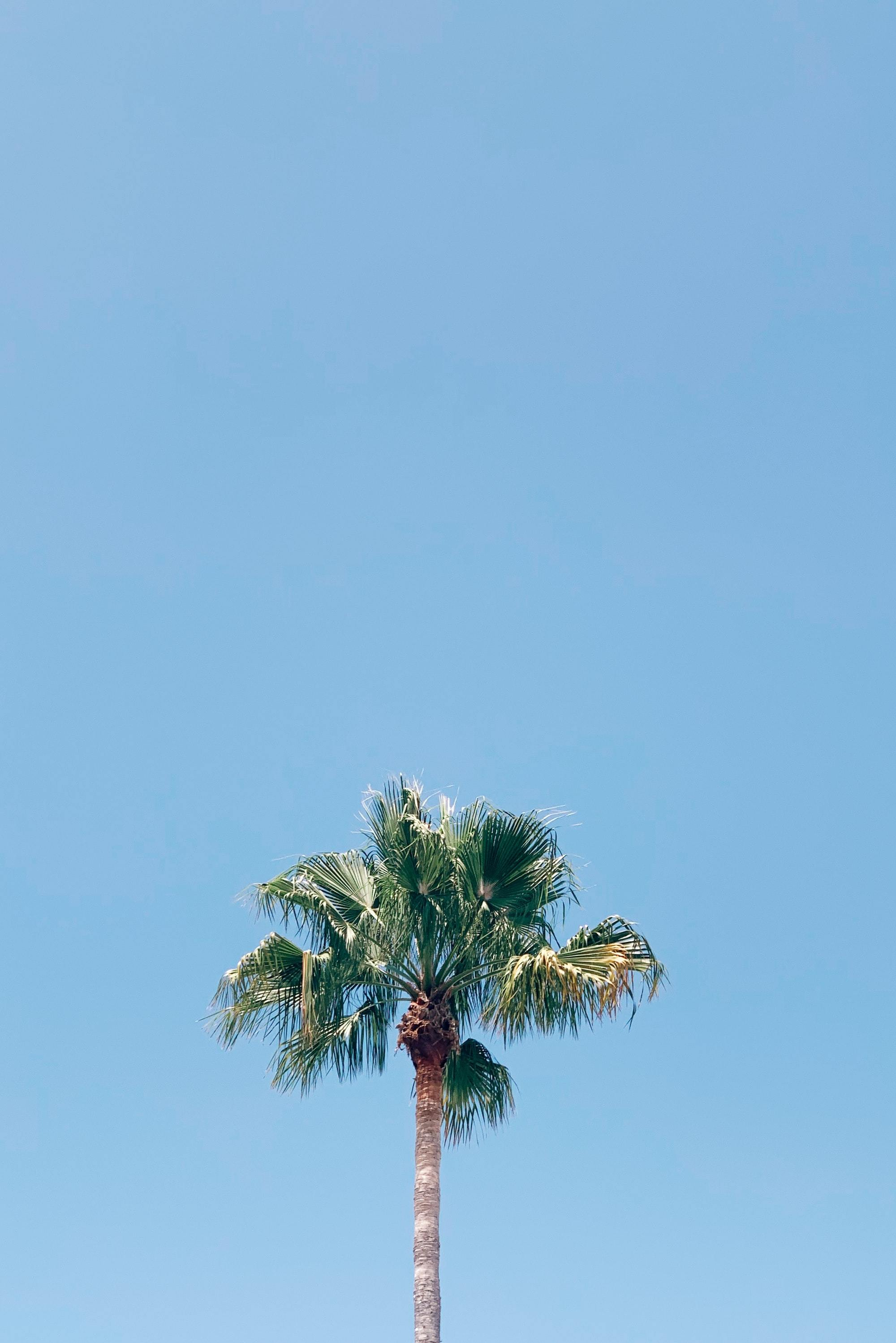 20240112日运指南乙亥日今天的日课如昨天所讲，还算是一个说得过去的日课，参