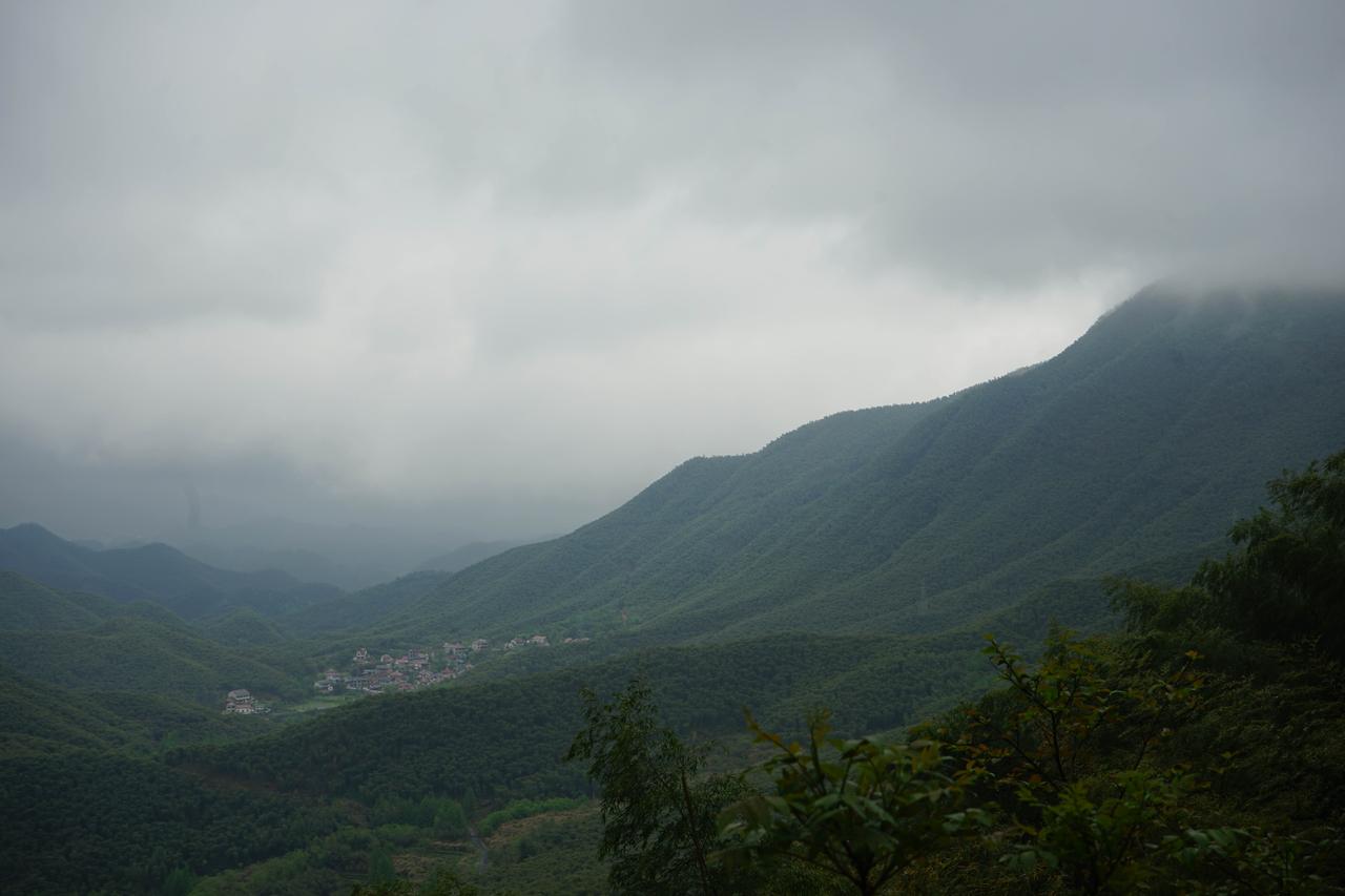 今天去800米高山茶园，把前晚做的小白龙送过去。
上次5斤青叶炒好一斤一两干茶，