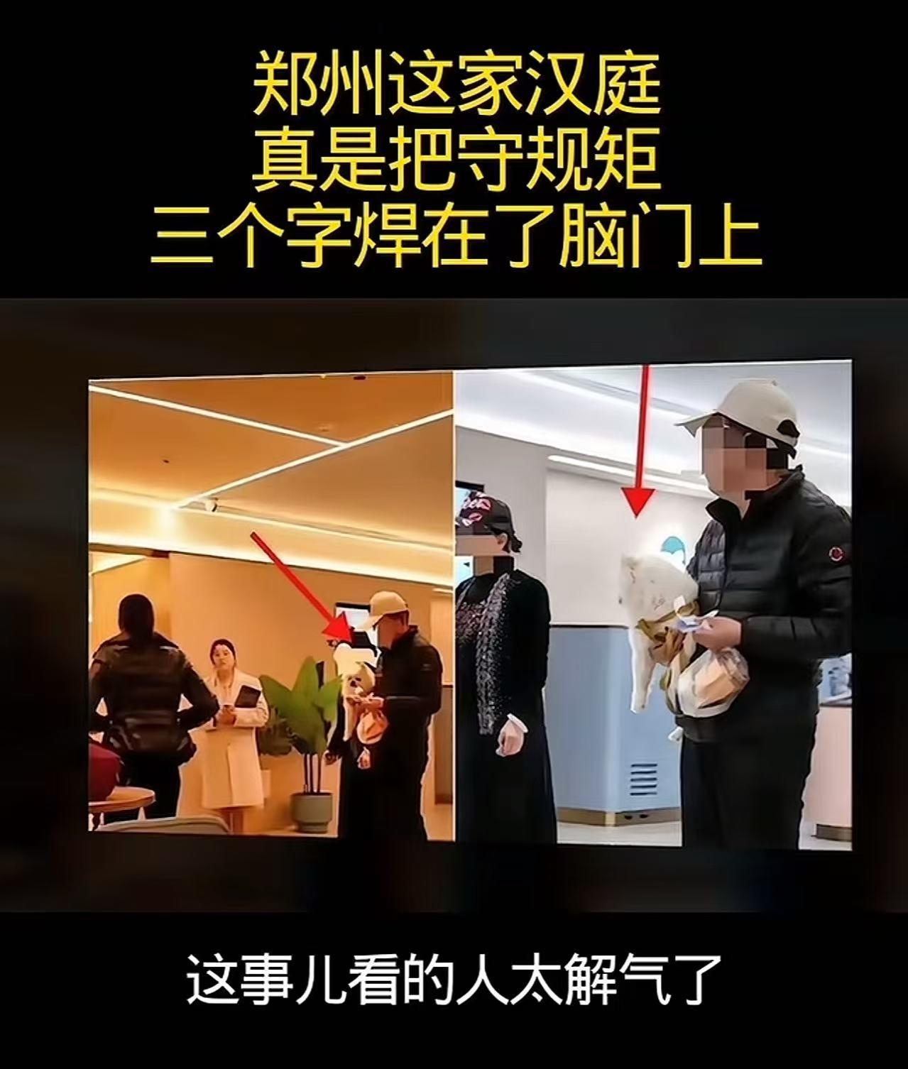“凭啥不让带狗入住？”郑州一家汉庭酒店拒绝接待携带宠物狗的客人，硬是把四间已订好