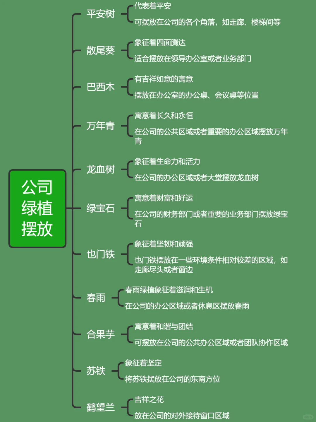 公司绿植如何摆放？