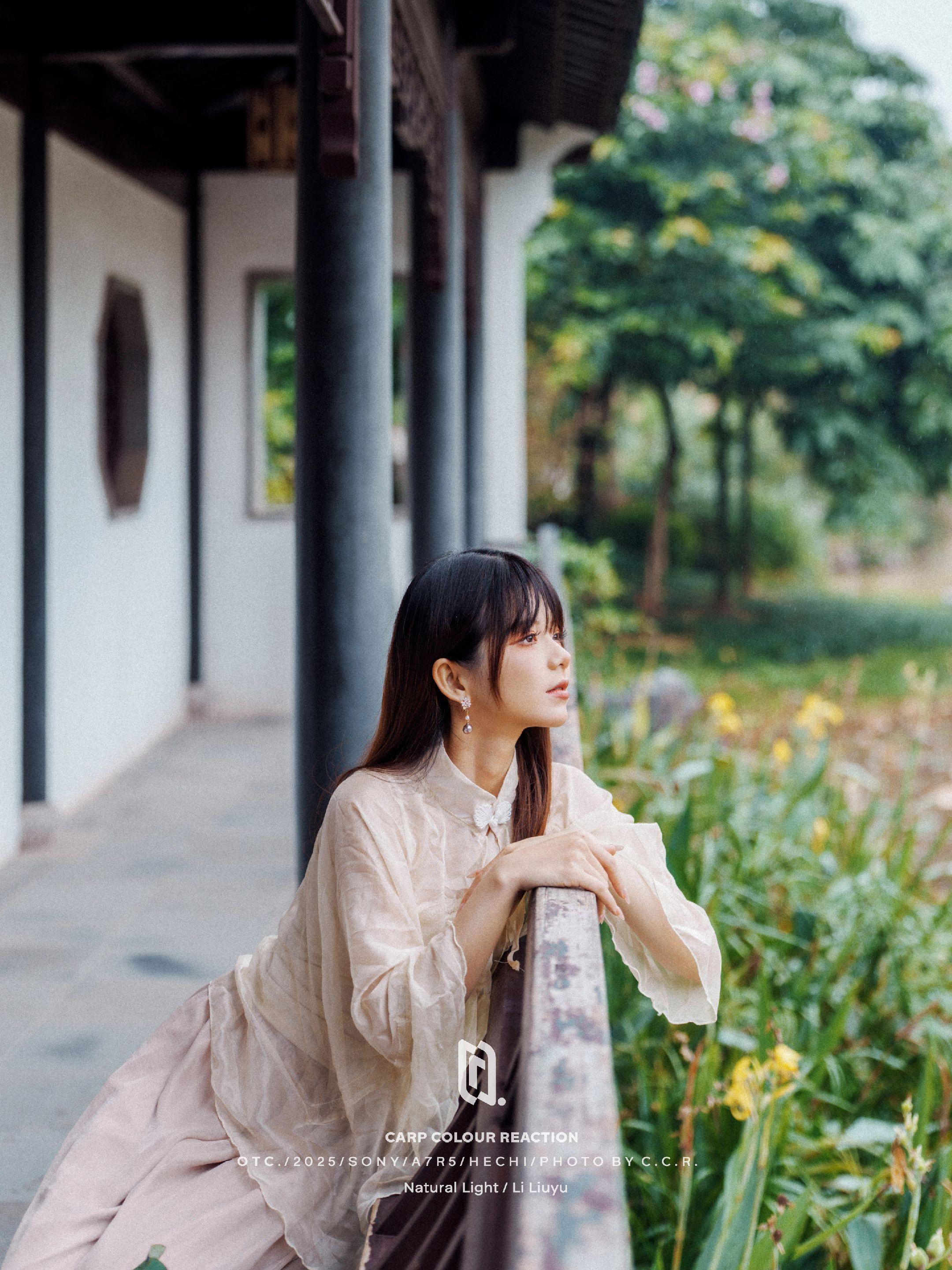 南方的深秋像夏天！利用南方秋天的叶子（枯萎的荷叶），拍出有对比的照片...