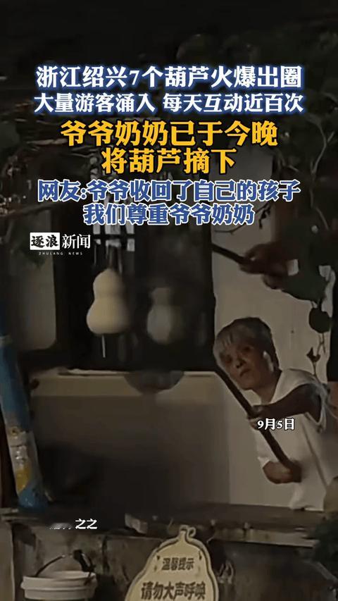 浙江绍兴，爆红7天的“葫芦娃爷爷”连夜将葫芦剪掉了。原因是邻居投诉不断，爷爷自己