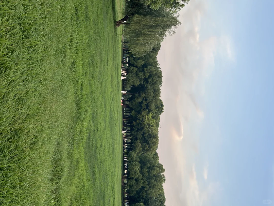 江宁九龙湖这个夏日公园好养眼🌳江宁小鸭川