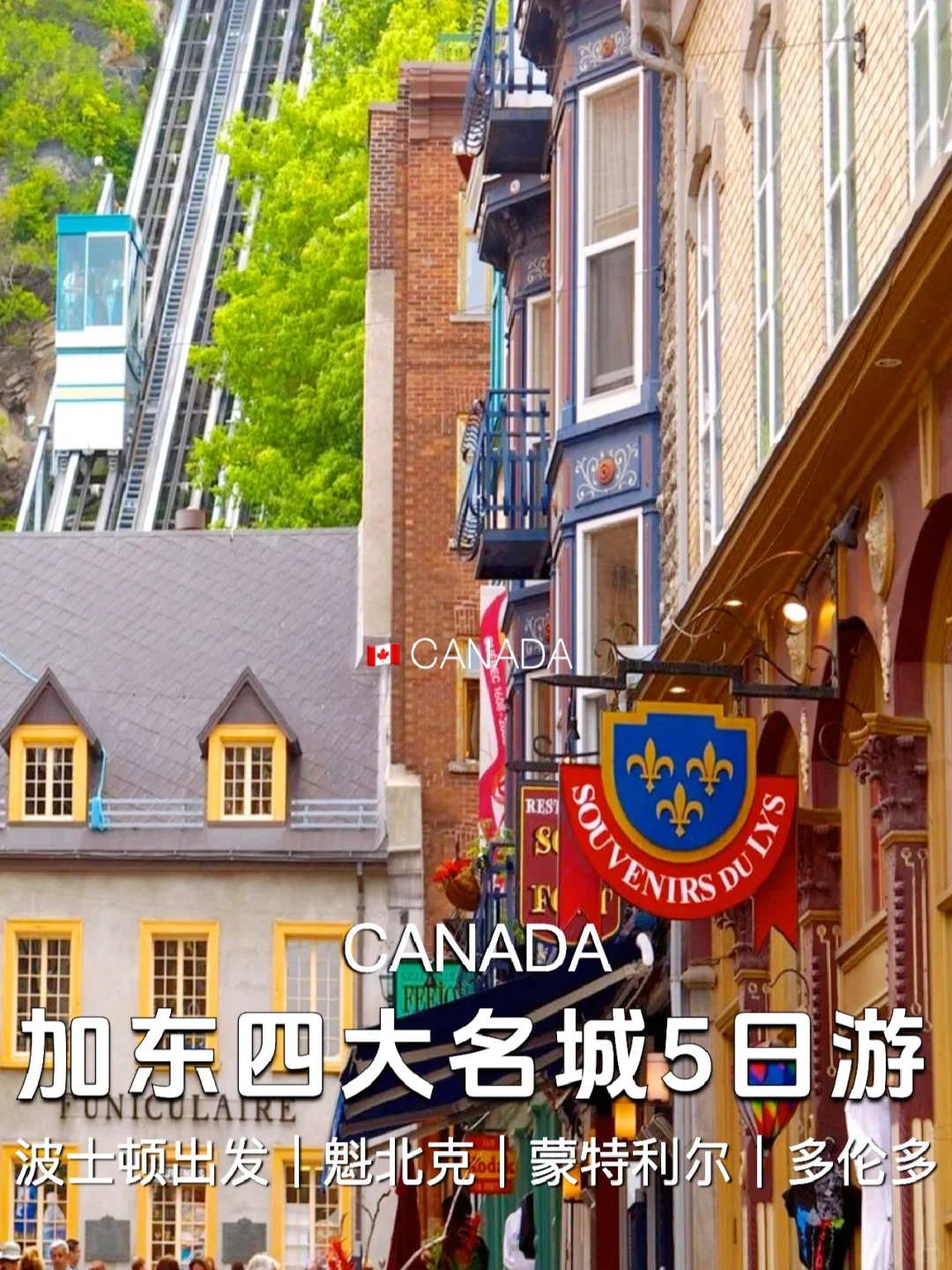 加拿大旅行｜经典4城+尼亚加拉瀑布全景5日游