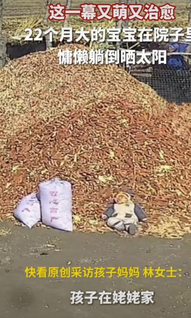 最近，一个22个月大的宝宝像个“小懒虫”一样躺在玉米芯上晒太阳的视频火了。画面中