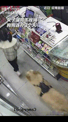 近日，云南一女子正在自家超市整理商品，突然女儿从门外跑了进来，随后一只金毛狗子紧