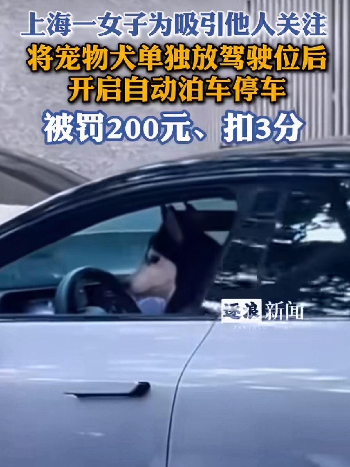 女子为炫耀自动泊车下车把狗留驾驶位自动泊车是可以下车，但没说狗可以上去，万一碰到
