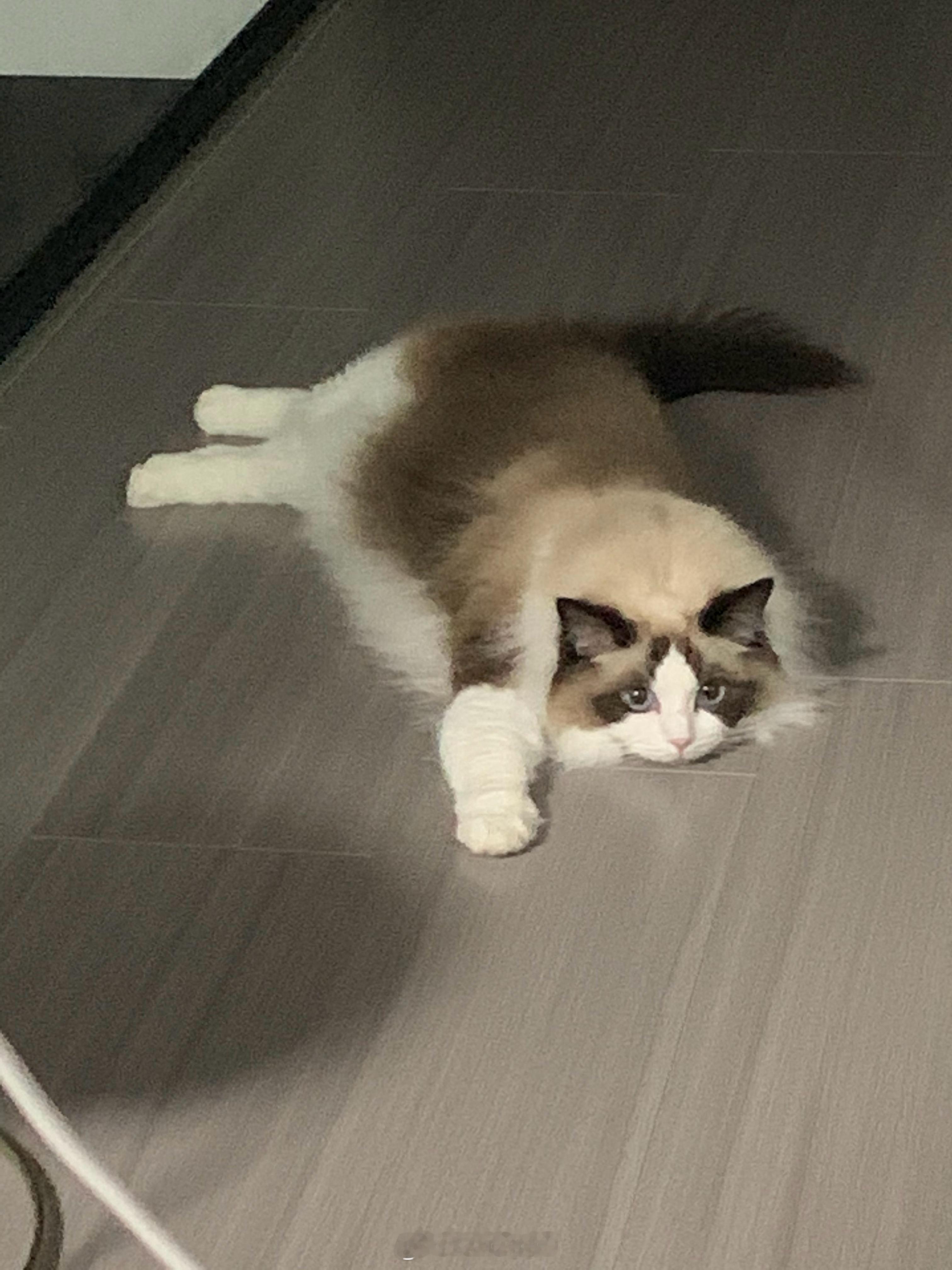 好扁啊宝宝 