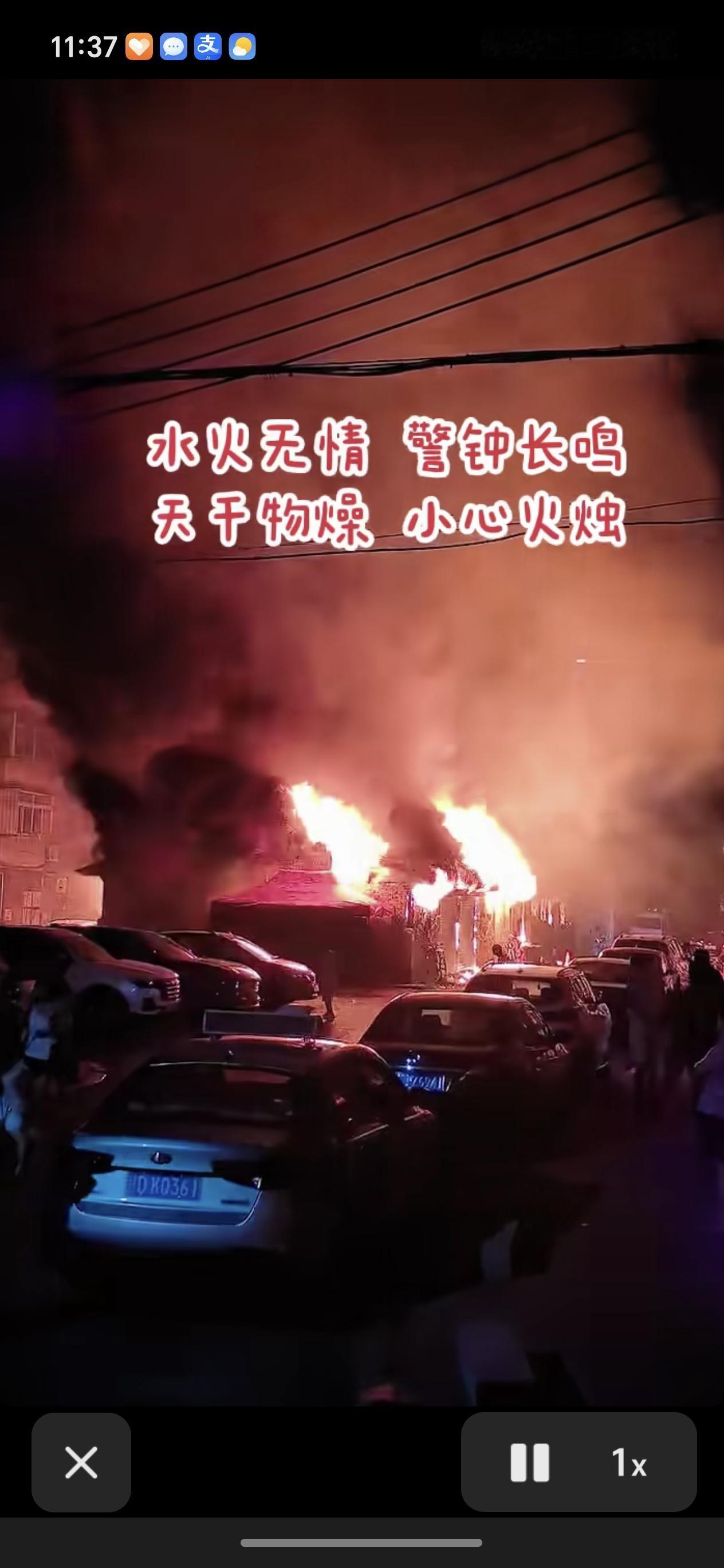 一只小狗立功了。
抚顺望花建设市场今天凌晨着大火了，是附近居民家的小狗发现了异常