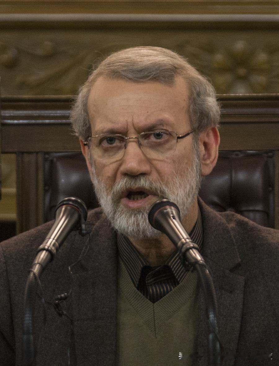 拉里贾尼将最有可能成为哈梅内伊的接班人，那么，他是忠贞不渝的殉道士，还是临危受命