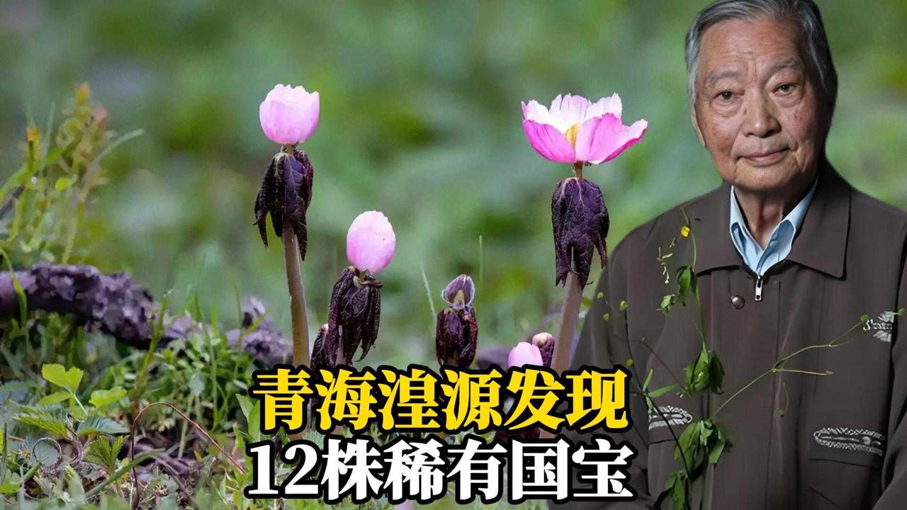 2026年6月21号8点的游戏，想想就觉得充满期待。说不定到时候会有那种超沉浸式