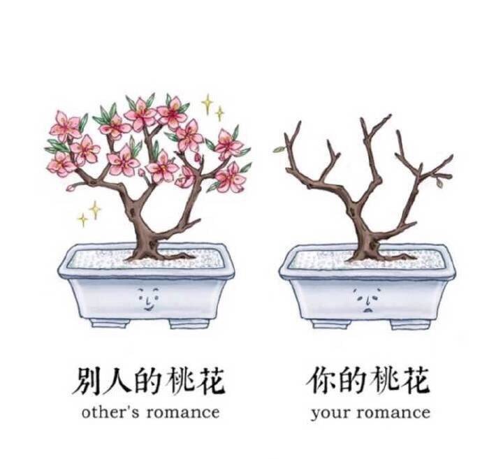 我实在是太难了 ​搞笑 ​ ​​​