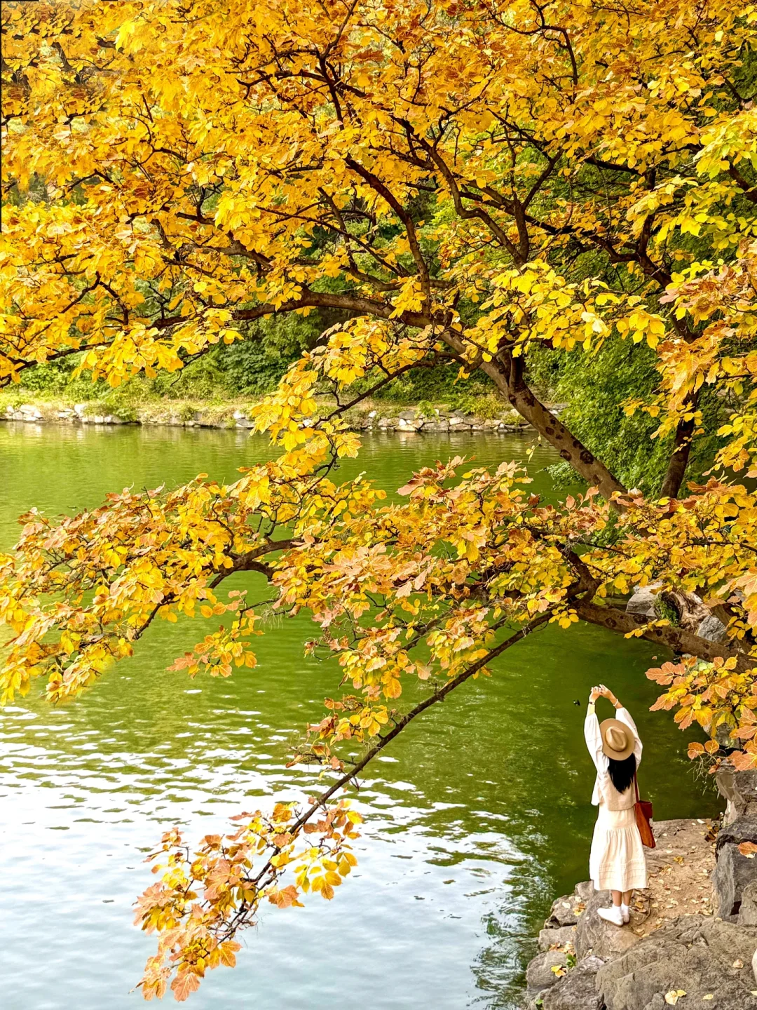 北京📍适合一个人逛一下午的地方🍁（12/100）