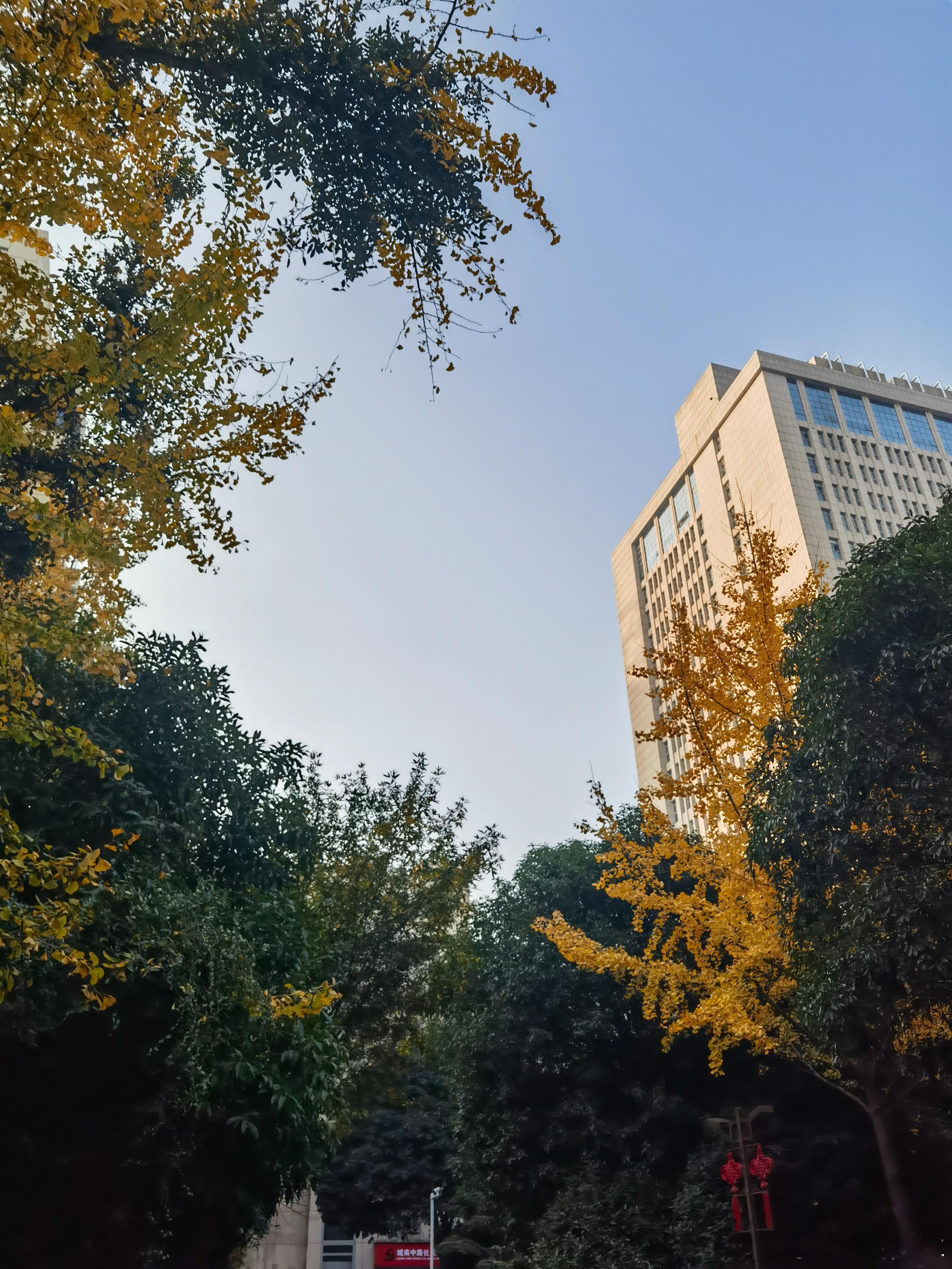 生活赠予我的生活赠我一枚铜钥匙用来打开有雾的早晨赠我以地铁摇晃的节奏在困倦的眉间