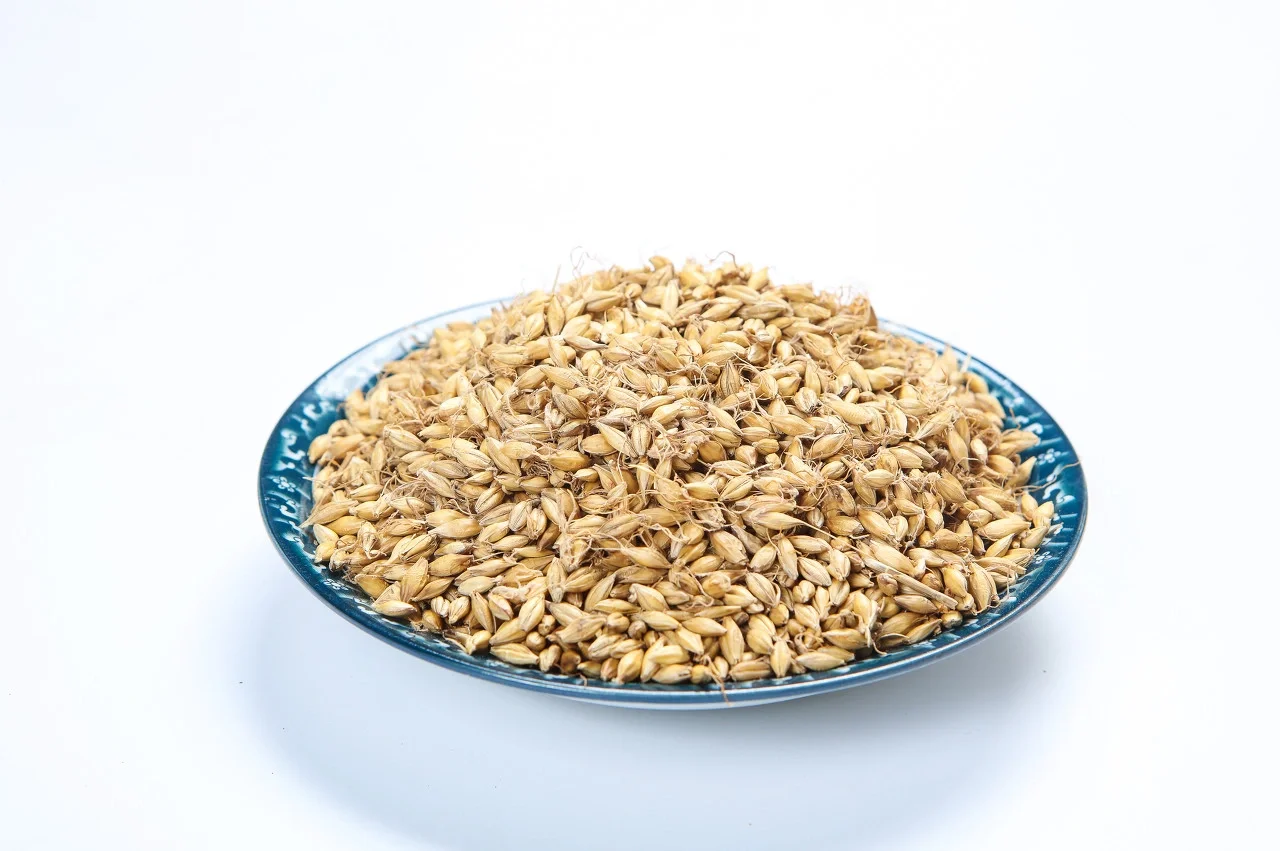 回乳与麦芽（下