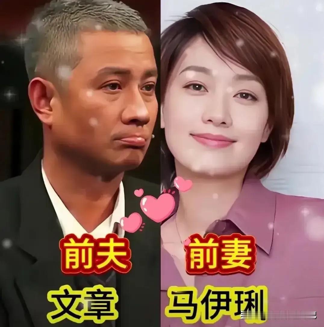 周野芒奚美娟昔日恩爱甜蜜，如今离婚收场。
文章马伊琍昔日昔日恩爱甜蜜，如今离婚收