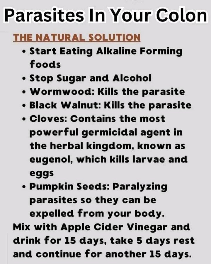 “肠道就像一座花园。如果精心照料，里面的生命就会繁荣昌盛；如果疏于照料，其他东西