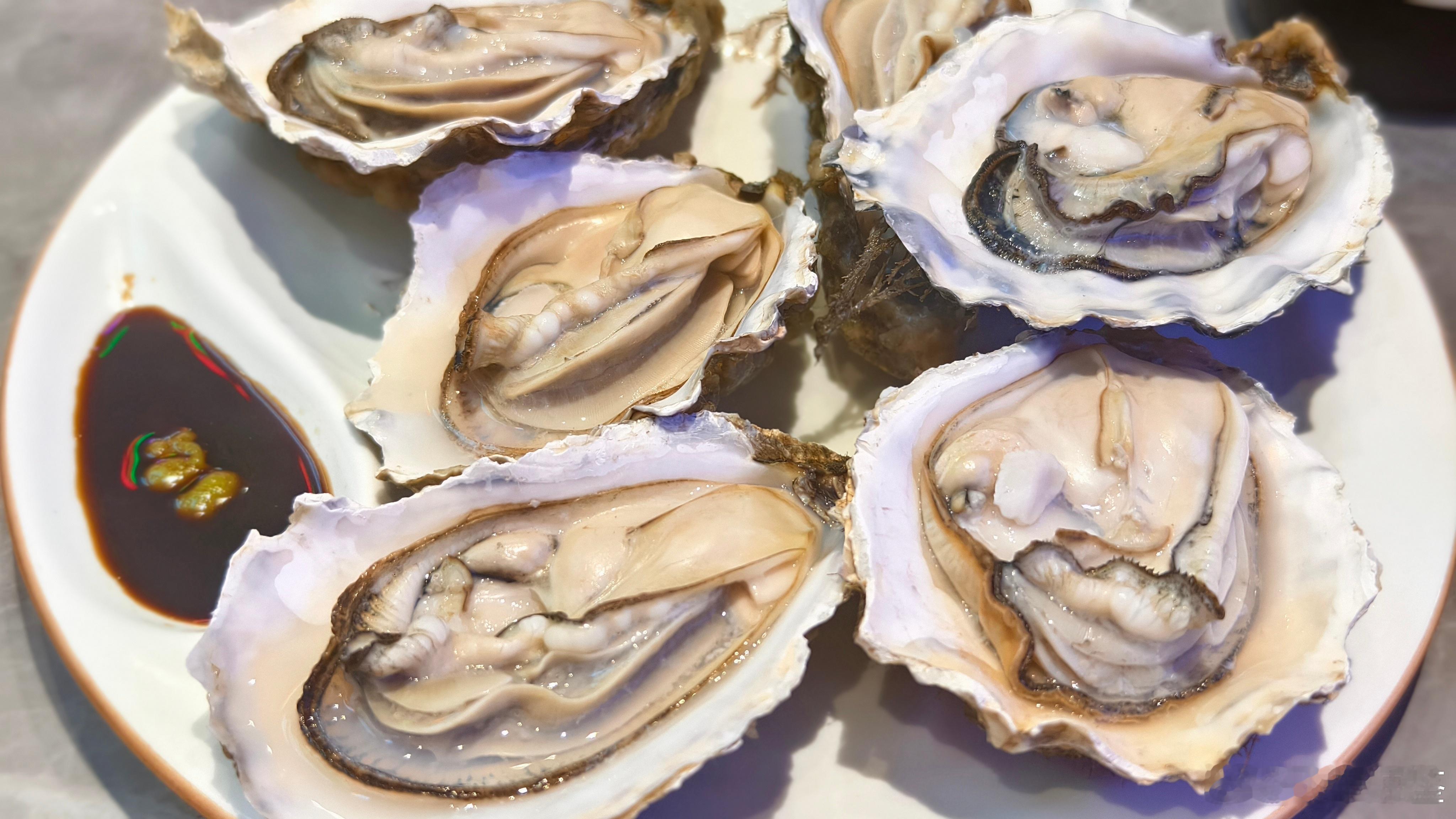 感觉遇到饮料刺客了，赶紧整个生蚝补一下我受伤的心[污] ​​​