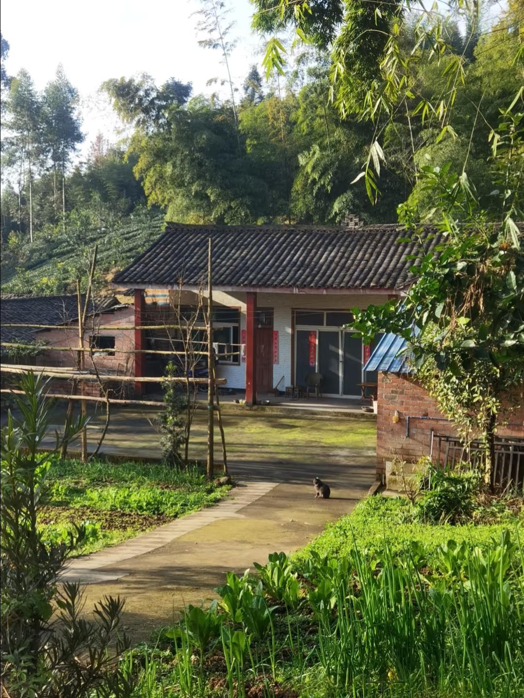 老家我哥今年四十八，一辈子没成家，前阵子突然找我，红着脸搓着手说有人给介绍了对象