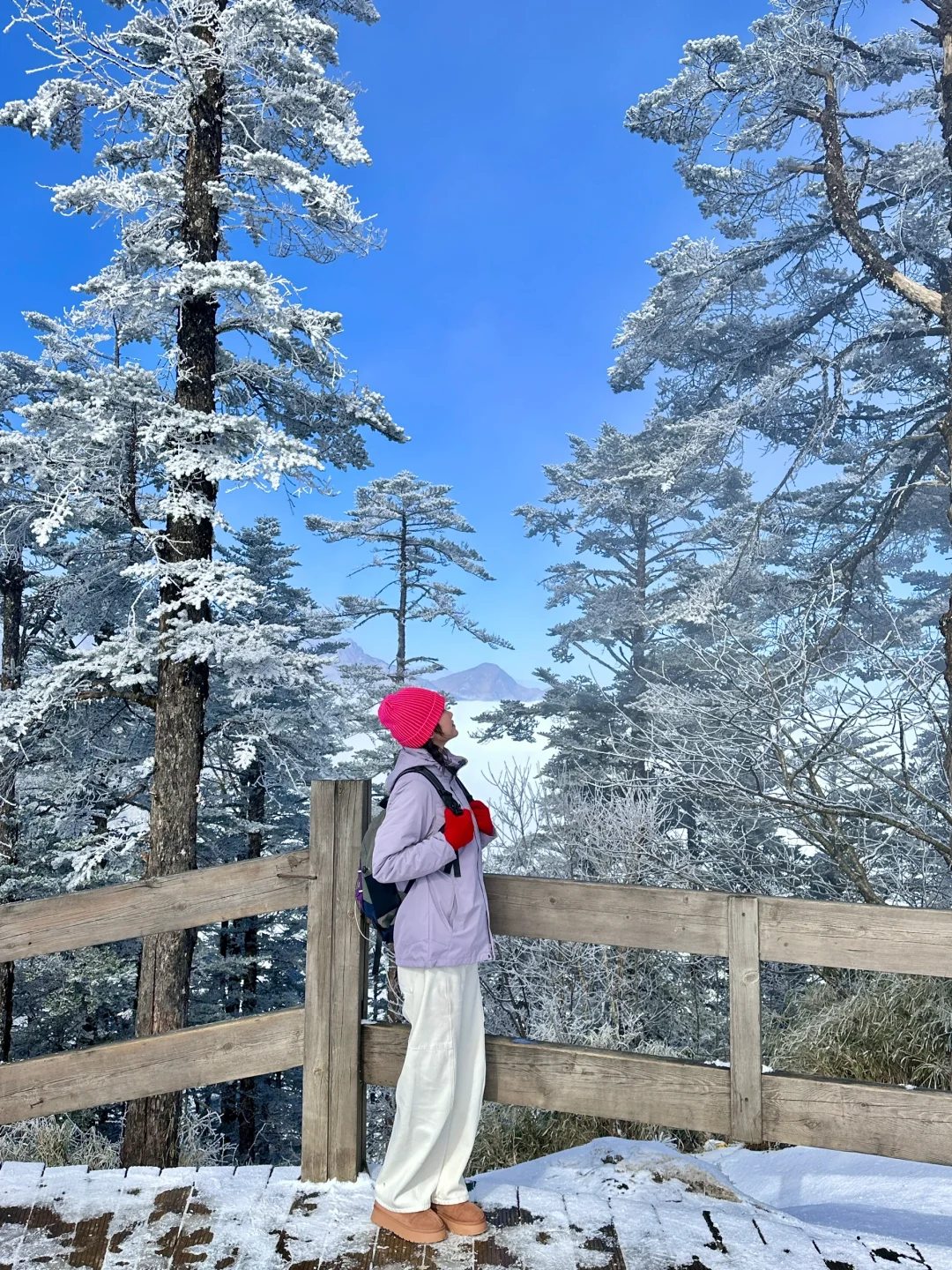 成都2h直达！！森林雪景！雾凇冰湖……巨美！！！