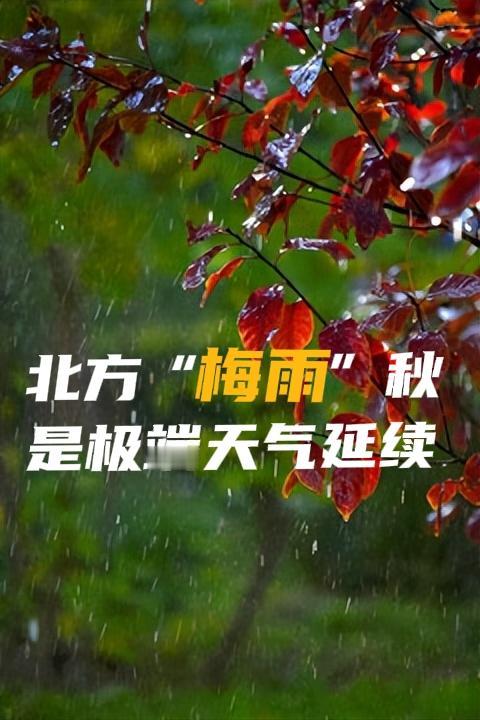“梅雨”秋，也是极端天气系列

都说“一场秋雨一场寒”，这可好，一场秋雨到冬天，