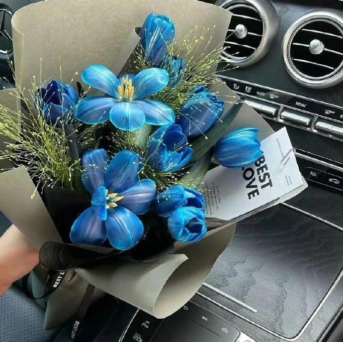 𝑻𝒂𝒌𝒆 𝑩𝒓𝒆𝒂𝒌𝒔 🥤 “可以是自己的公主 也可以是自