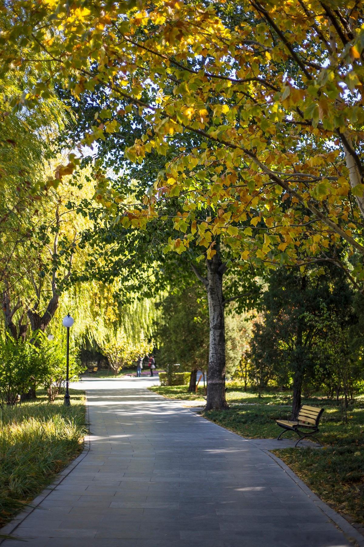 商业模式 应该从三个层面来描述业务，分别是产品层面、交易层面、资金层面。•产品层