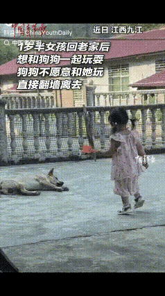 江西九江，一岁半小女孩回老家，看见院里的狗子睡得正香，颠颠跑过去想找它玩。狗子装