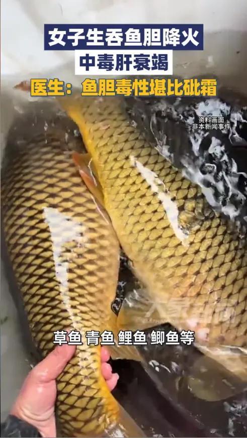 “悲剧还是发生了！”近日，南京，一女子在家杀鱼时，突然想起“良药苦口”的老话，于