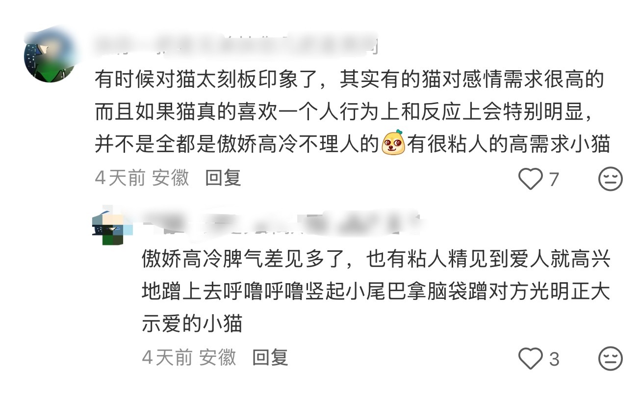 我要艾特一只猫 