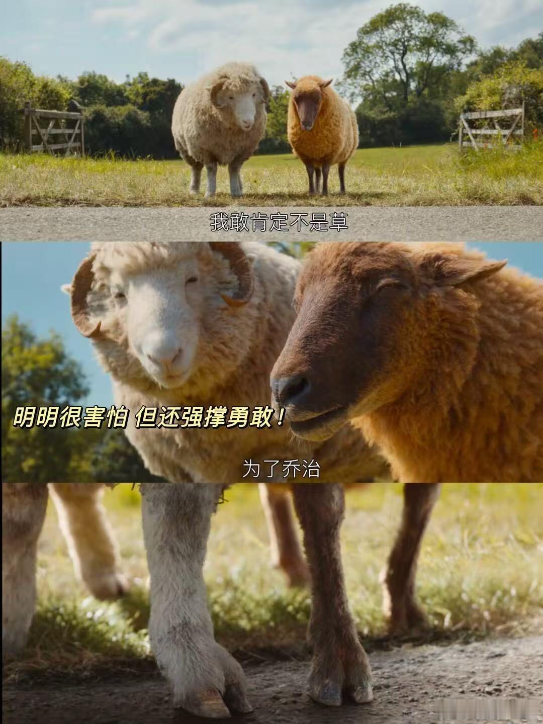 腾格尔终于对送别下手了真的完全颠覆了对《送别》的固有印象，腾格尔这版改编又魔性又
