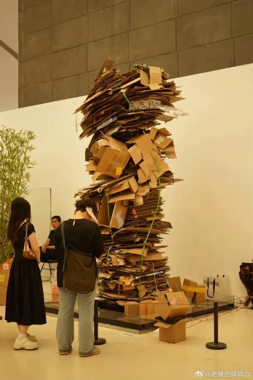 #做早饭时想# 【艺术变成“专业人士”的艺术就是堕落】清华美院毕业展，一个纸箱的