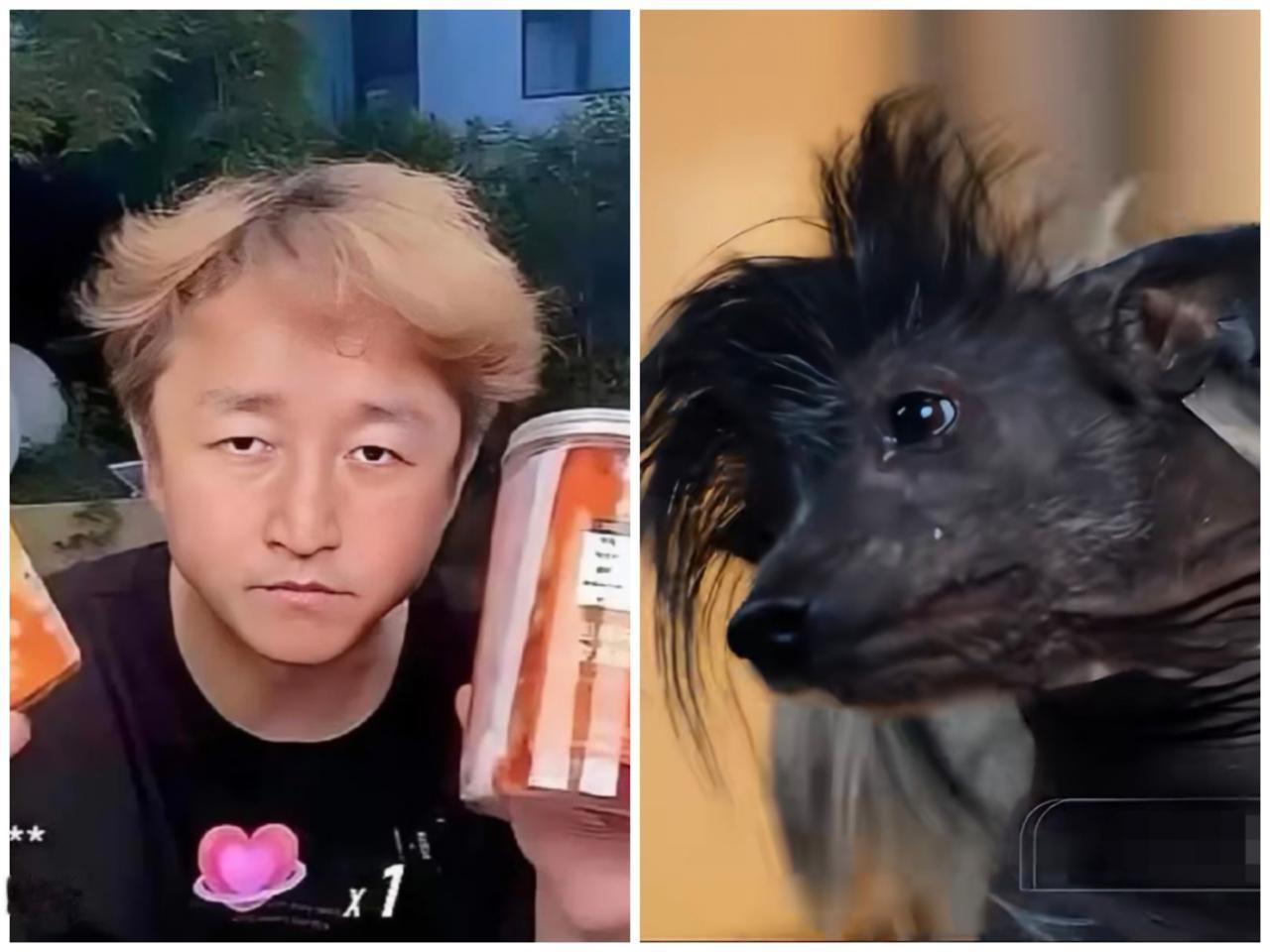 什么样的人，就会养出来什么样的狗！
看到冉莹颖养的🐶，
我现在相信，她不是故意