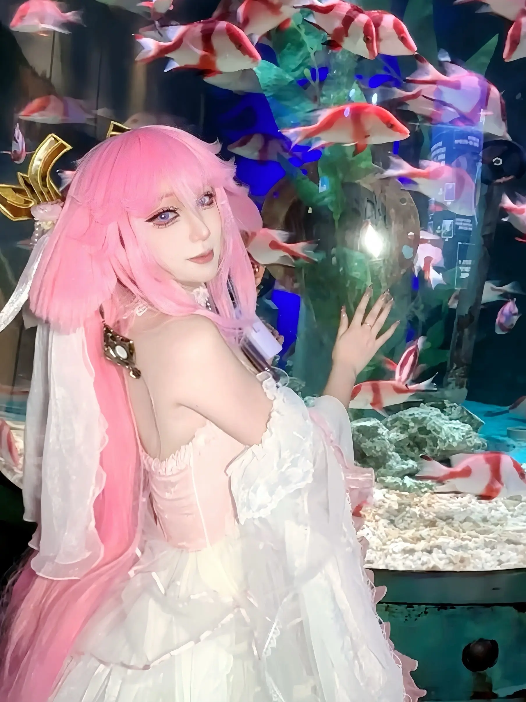 和神子一起逛海洋馆嘛
