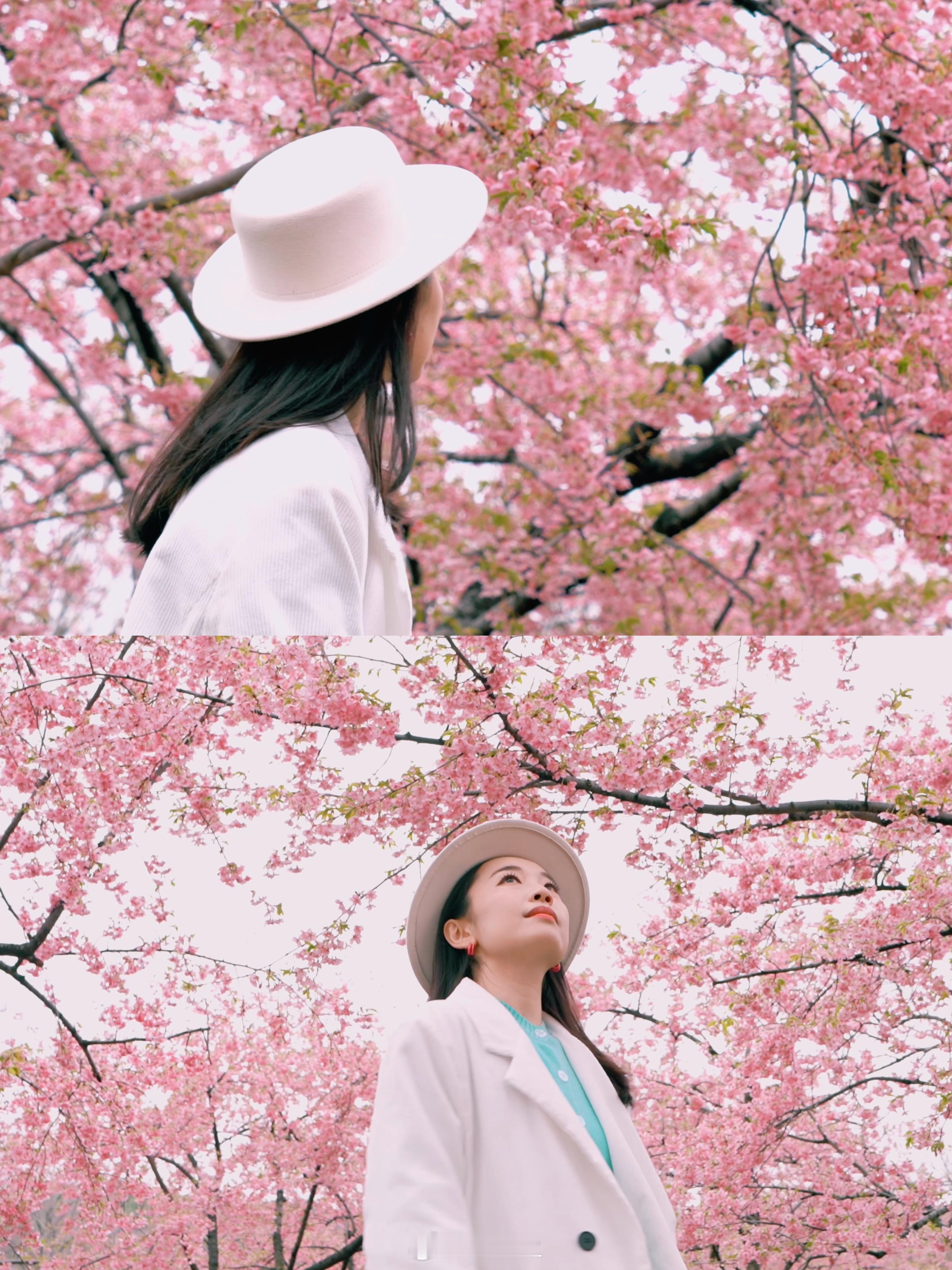 🌸这个春日，我在无锡上春山无锡，无疑是春日最佳的出游目的地，是一座被春天格外偏