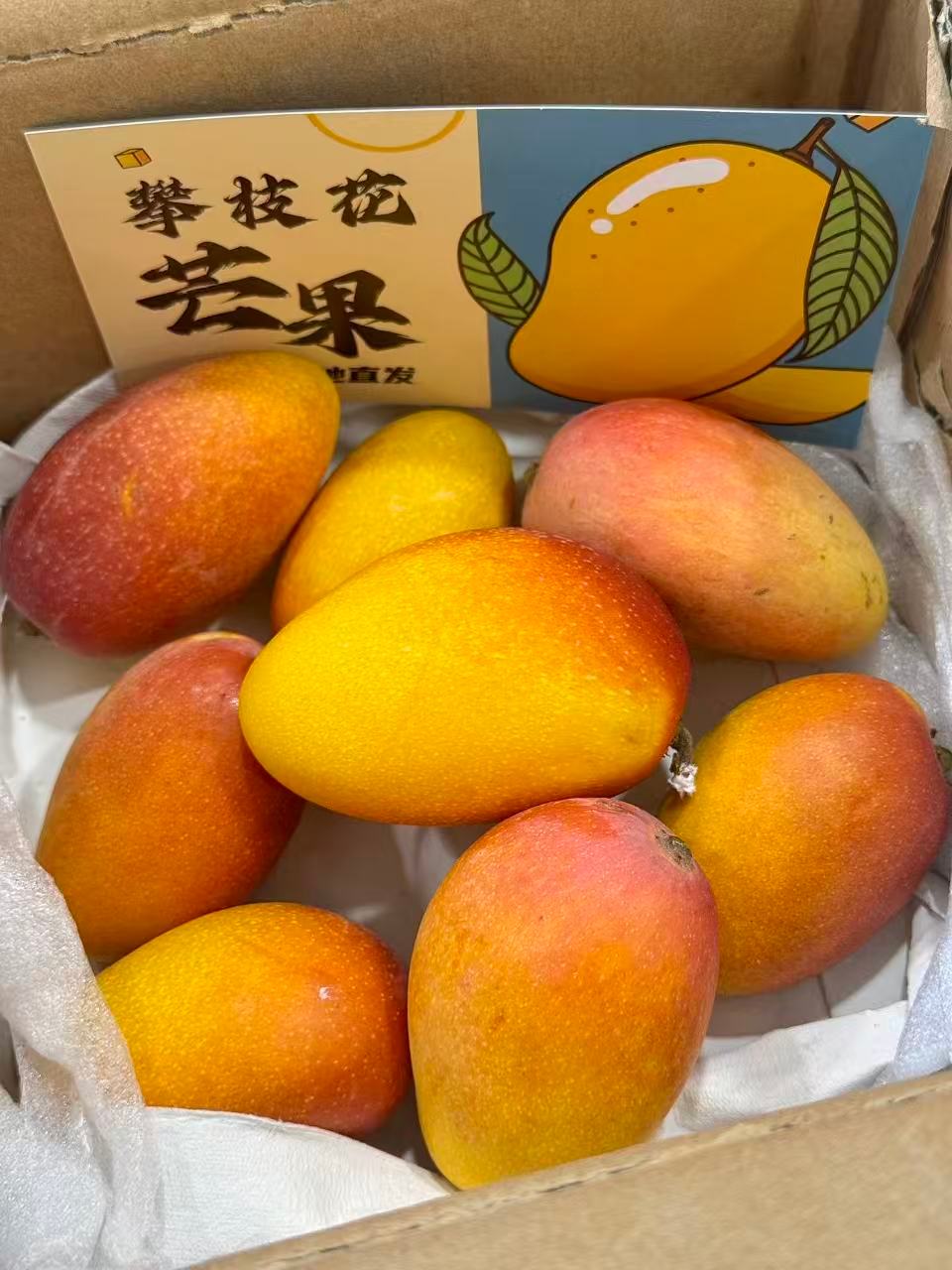 攀枝花即食贵妃，coming soon！有想要做我新品试吃官的宝贝吗