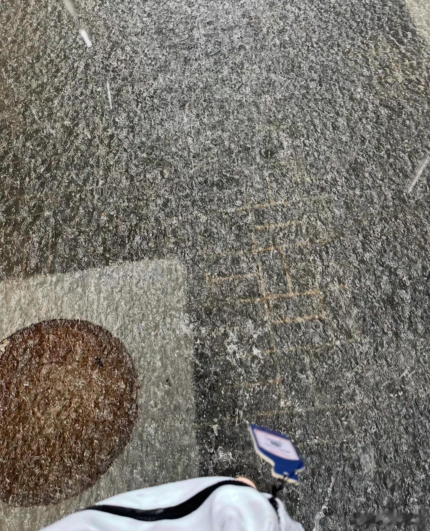 白海豚听说到北京了 