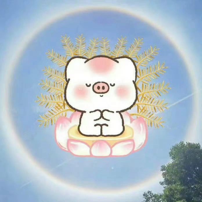 周末发热门诊590，平台了？