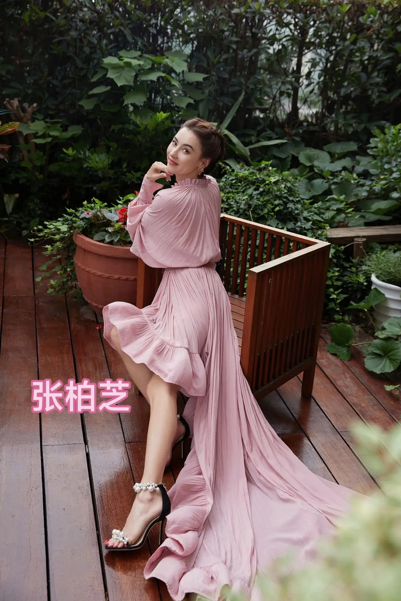 张柏芝。