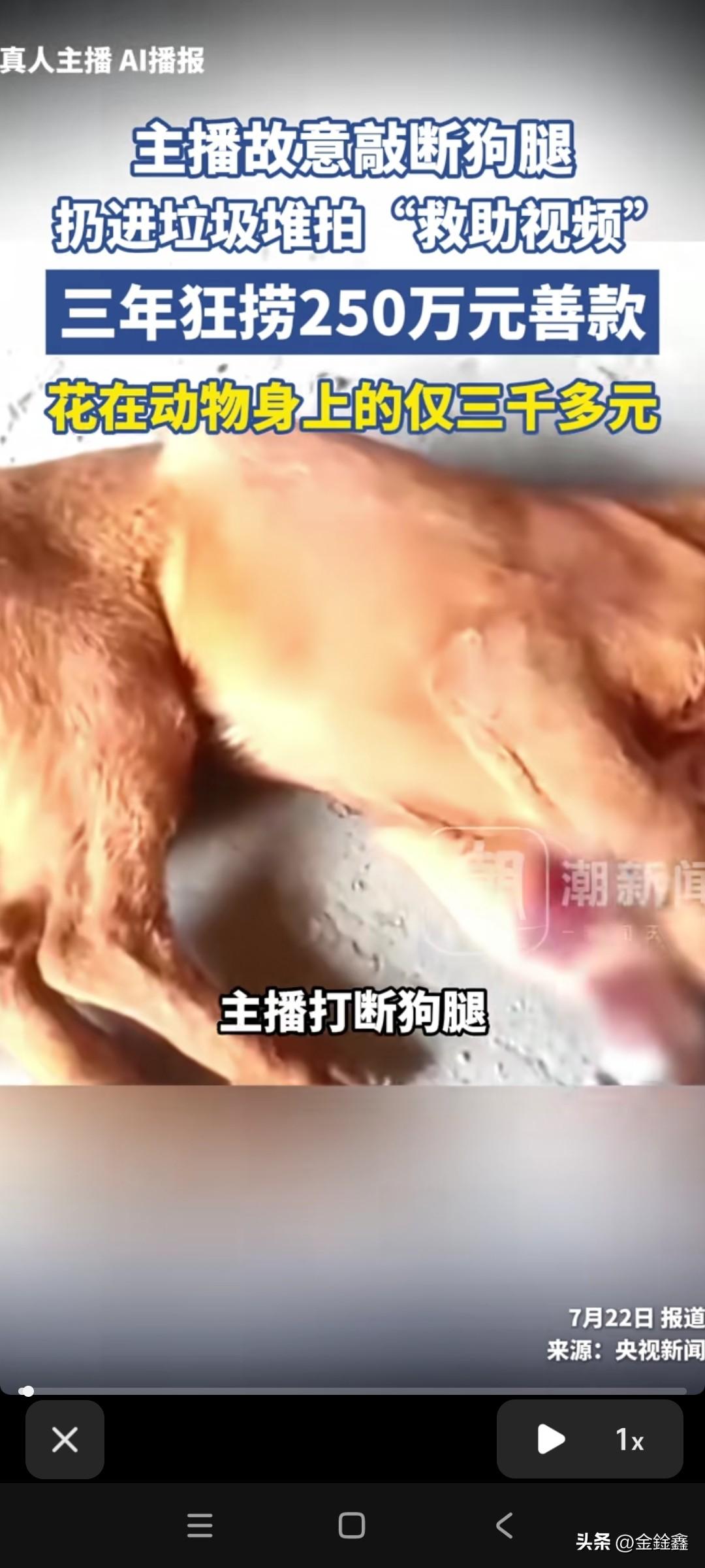 敲断狗腿扔垃圾堆！三年骗250万善款，花在狗身上仅3000多

刷到这条新闻，真