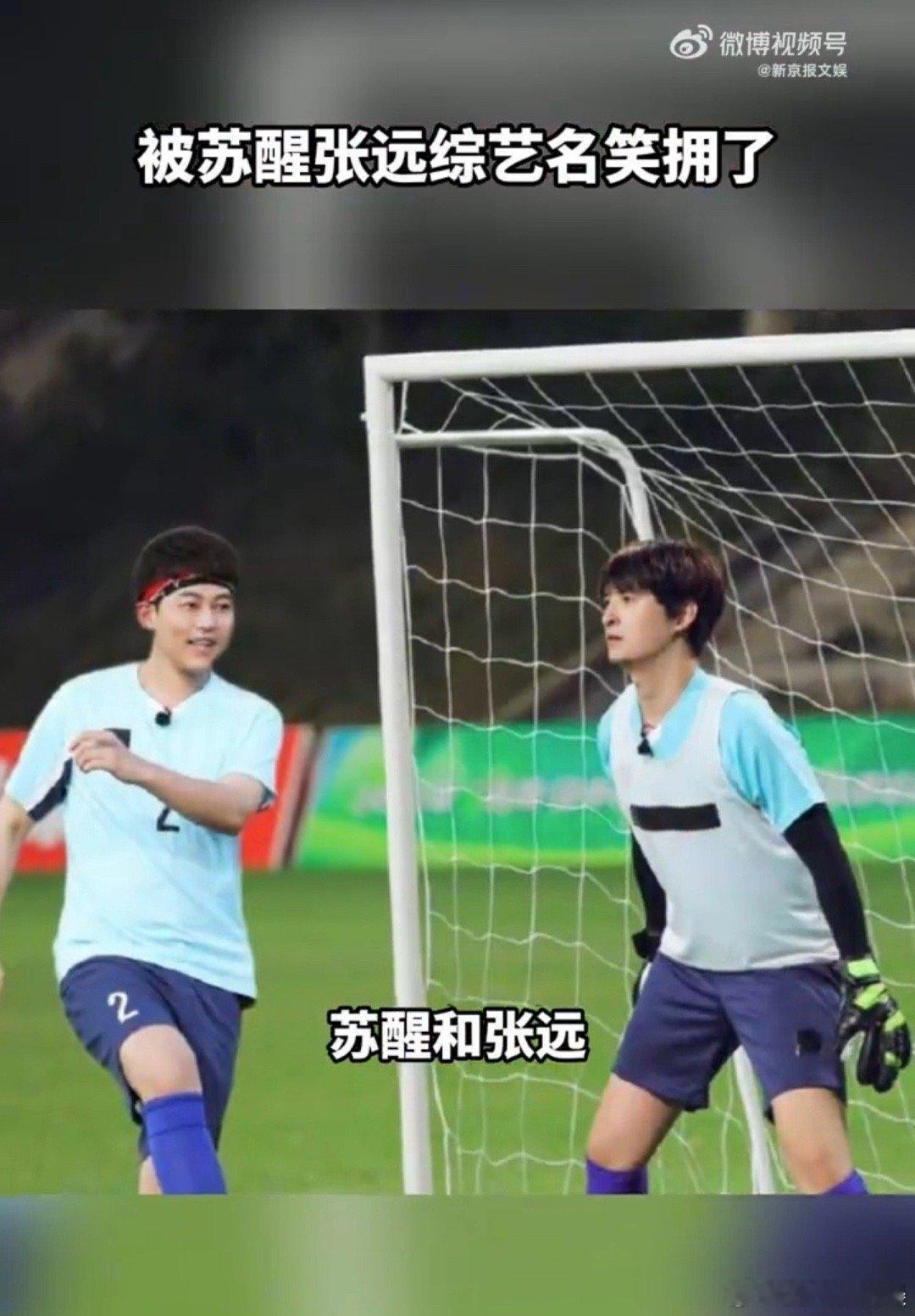 #网友给苏醒新综艺起名好city#张远简直就是我的快乐源泉呀，感觉现在的网友们脑