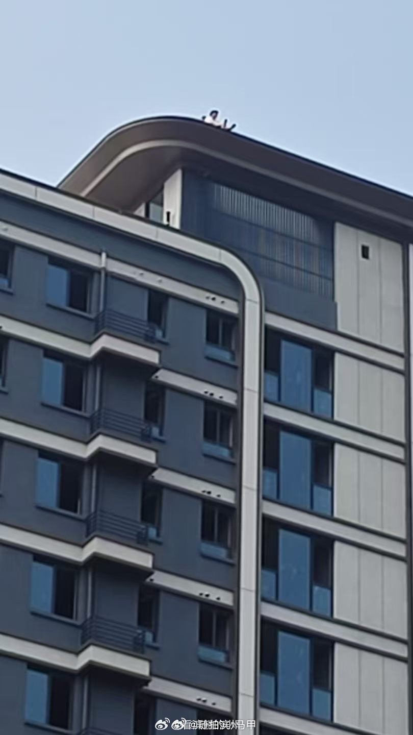 这年头有纠纷，就上楼顶！哎！估计也是没办法了！事发今天，滨州建大学府项目一楼顶.