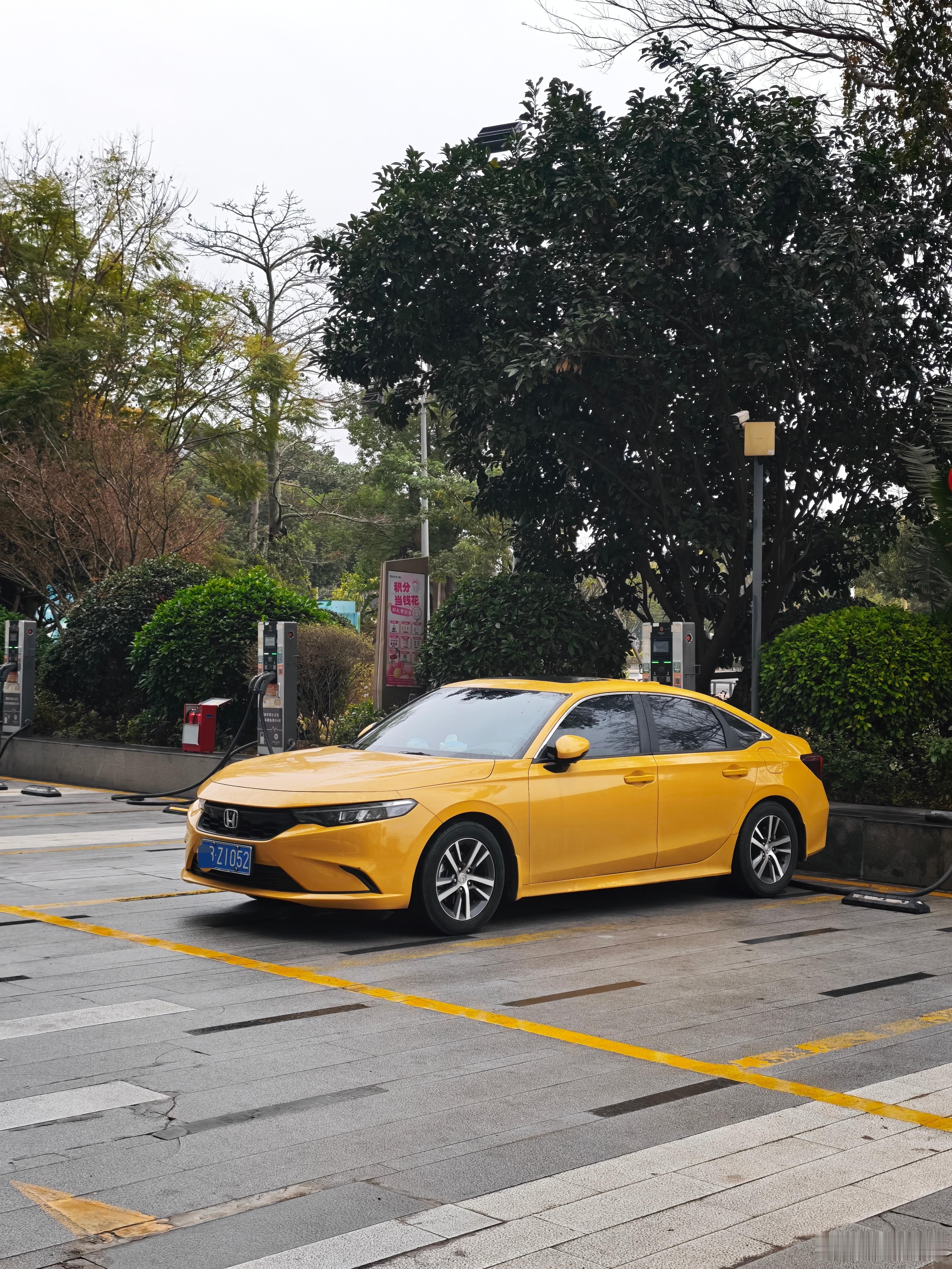 黄色本田就是漂亮啊 