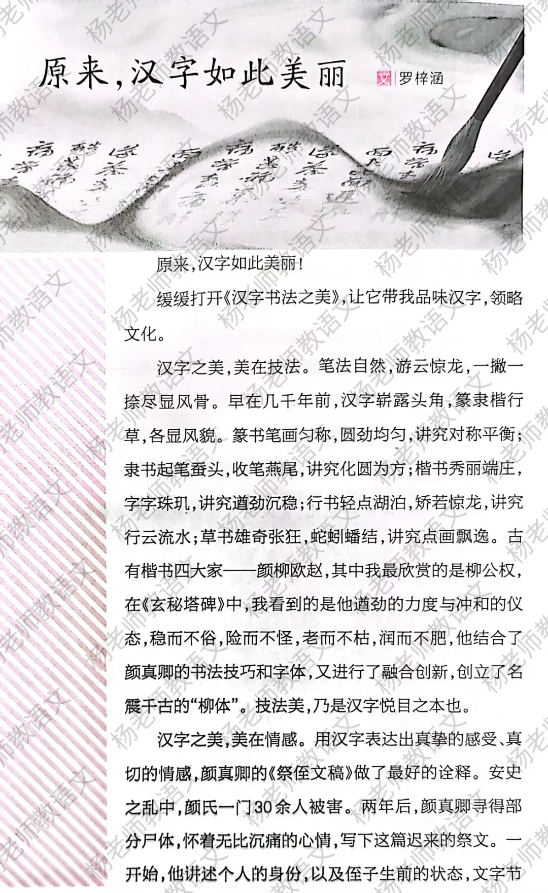 初中议论文的样子‼️