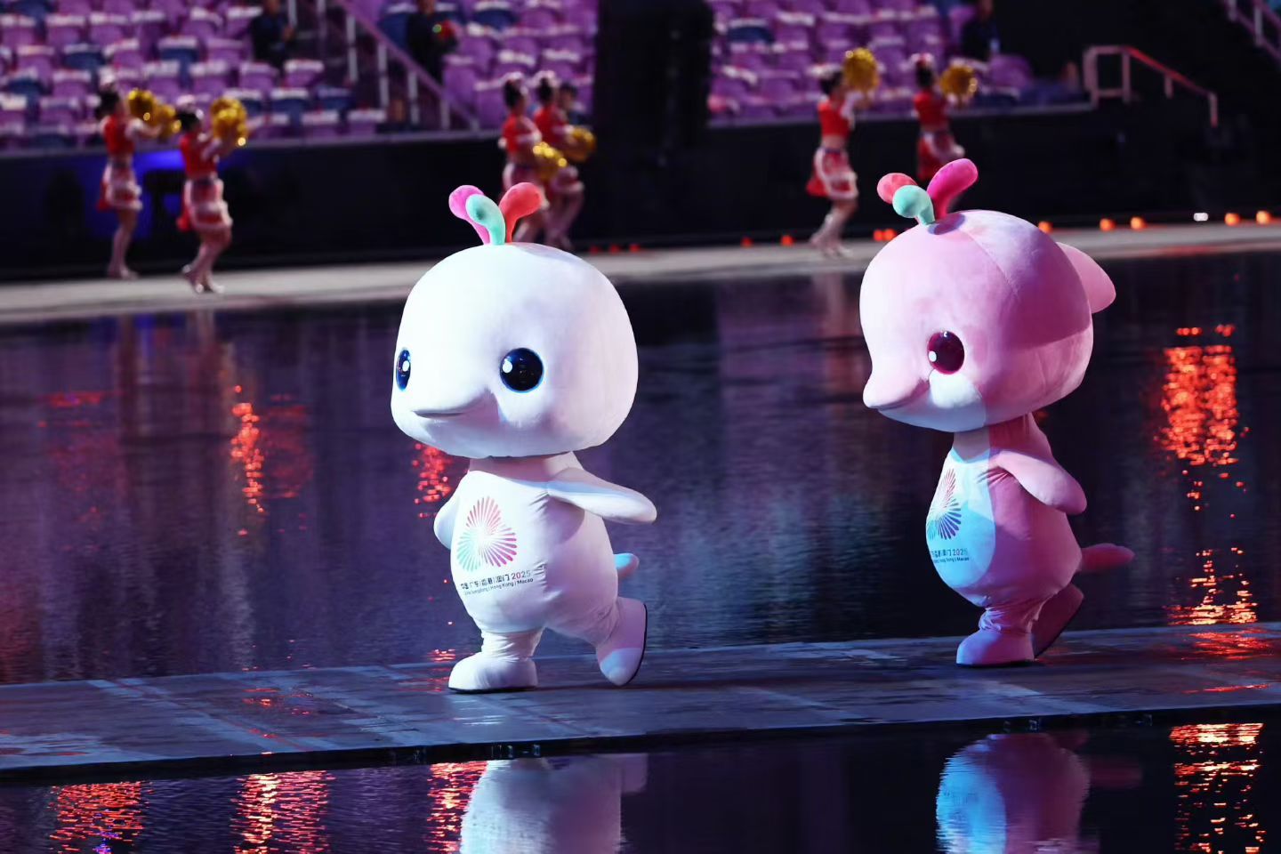 最近都在早睡早起的大家晚安大湾“鸡”真的太可爱了 想拥有 